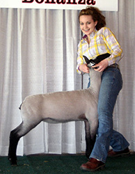 Reserve Crossbred UW-River Falls